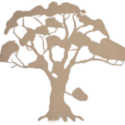 cropped praxis baum 1.png